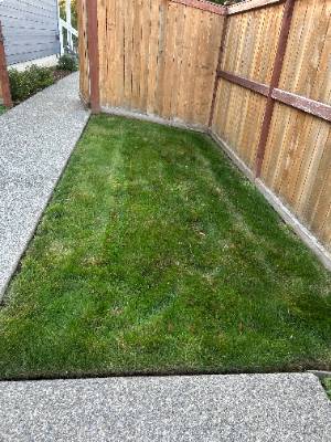 Project photo 6