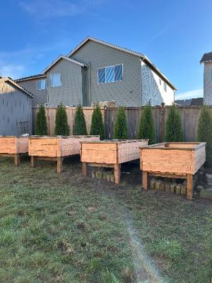 Project photo 13